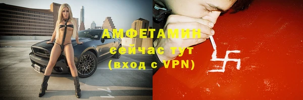 гидра Абаза