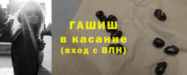 гидра Абаза