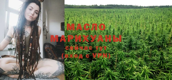 гидра Абаза