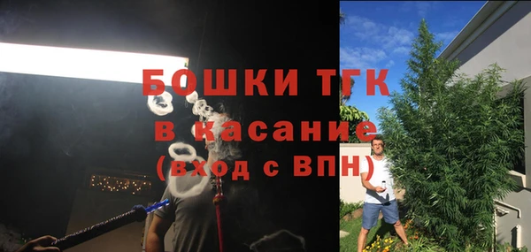 гидра Абаза