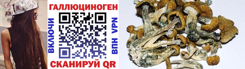 закладка Мегион Галлюциногенные грибы ЛСД